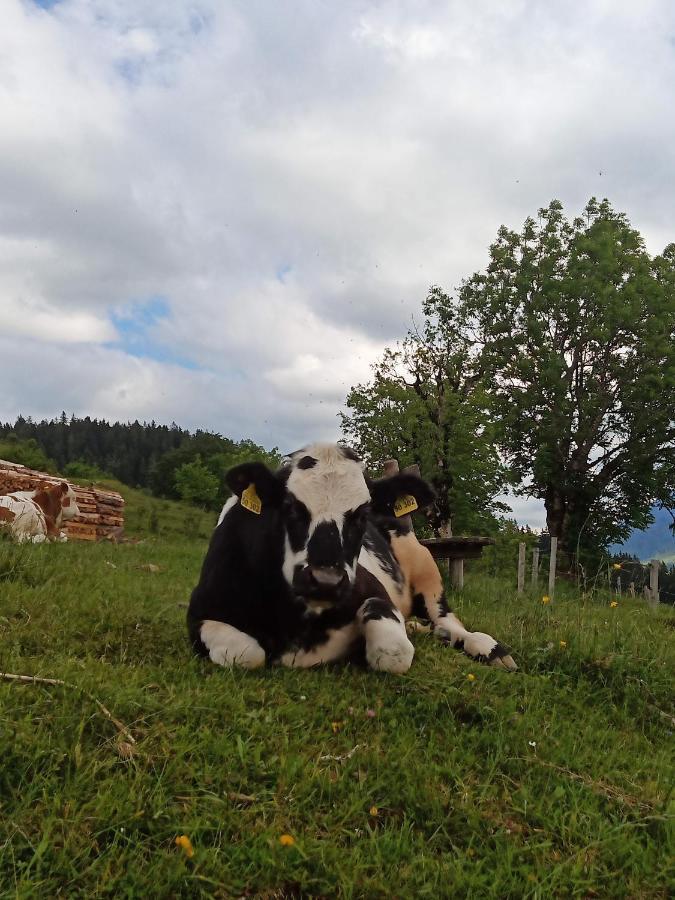 Haus Schwarzeck Apartment Ramsau bei Berchtesgaden ภายนอก รูปภาพ